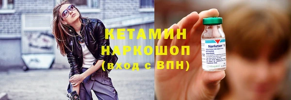 сатива Белокуриха