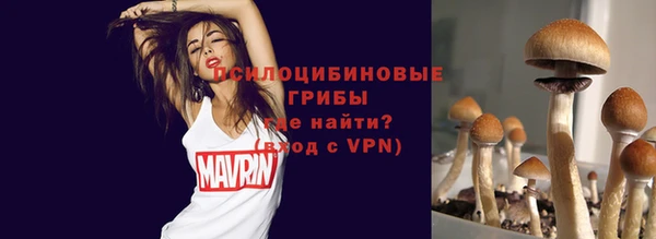 стафф Белоозёрский