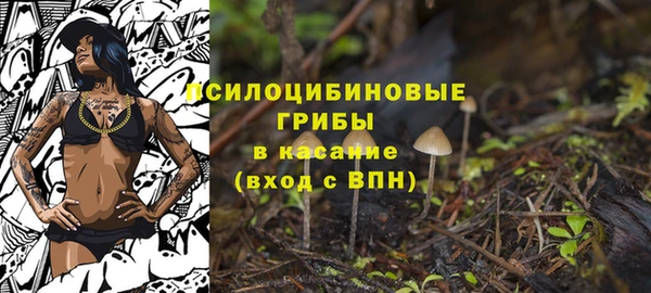 сатива Белокуриха