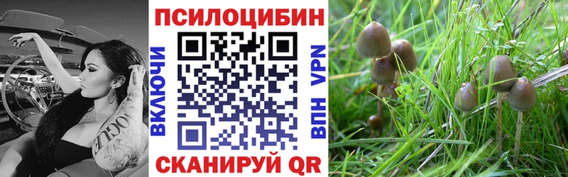 Псилоцибиновые грибы мухоморы  магазин    Светлогорск 