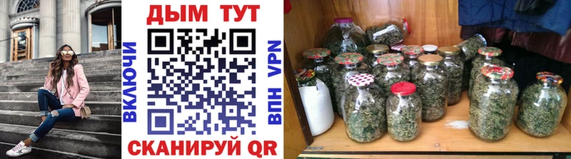 mega как зайти  наркота  Светлогорск  Бошки Шишки White Widow 